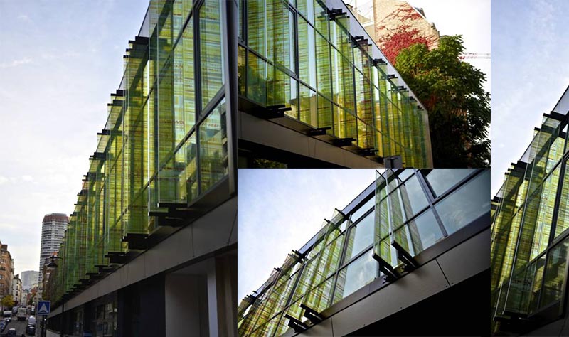 façade en verre feuilleté avec insertion image 